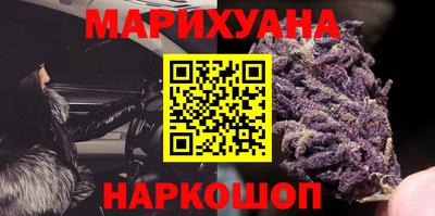 крисы Севастополь